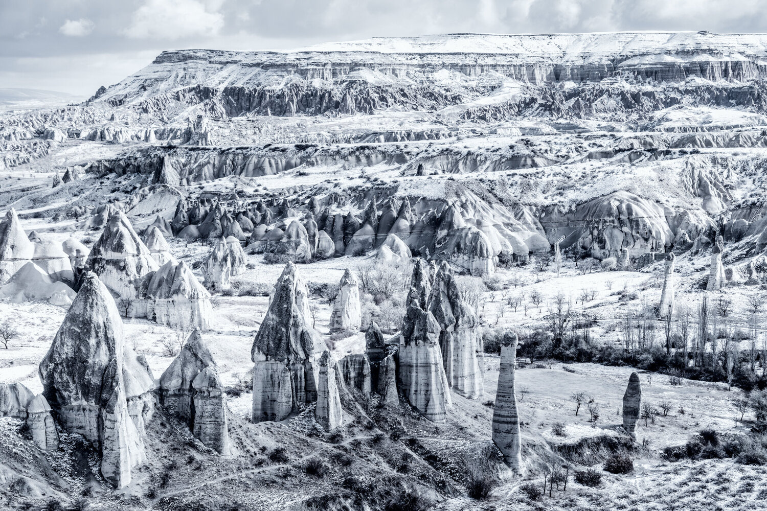 FROZEN GUARDIANS Tom Jacobi