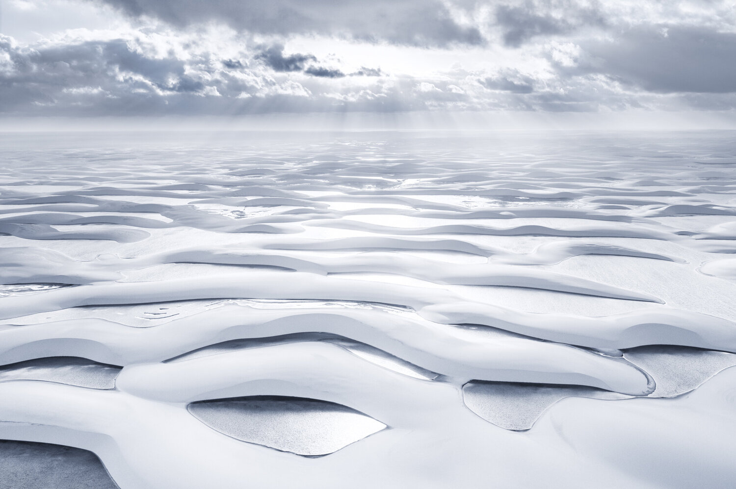 THE MAZE Tom Jacobi