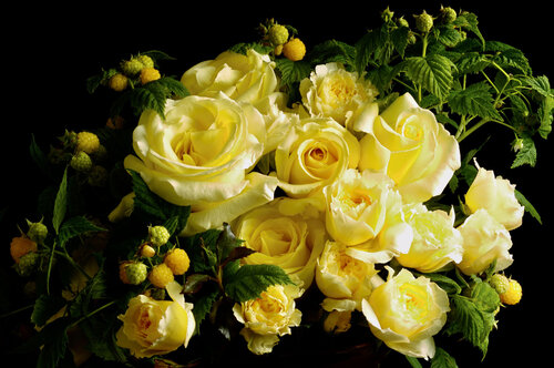 Irish Hope with Yellow Rasberries di Clay Perry, Fotografia in vendita su Singulart