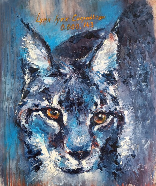 Carpathian Bobcat Portrait Eleonora Taranova