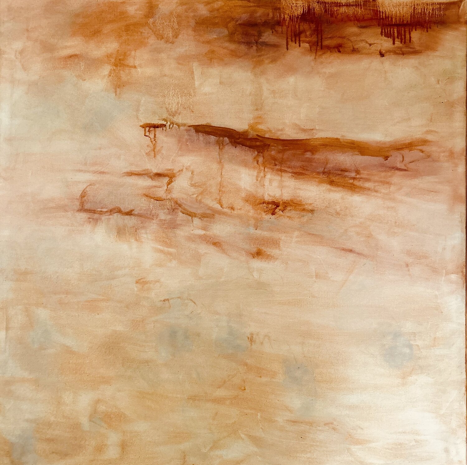 Torn Landscape Irene Watson