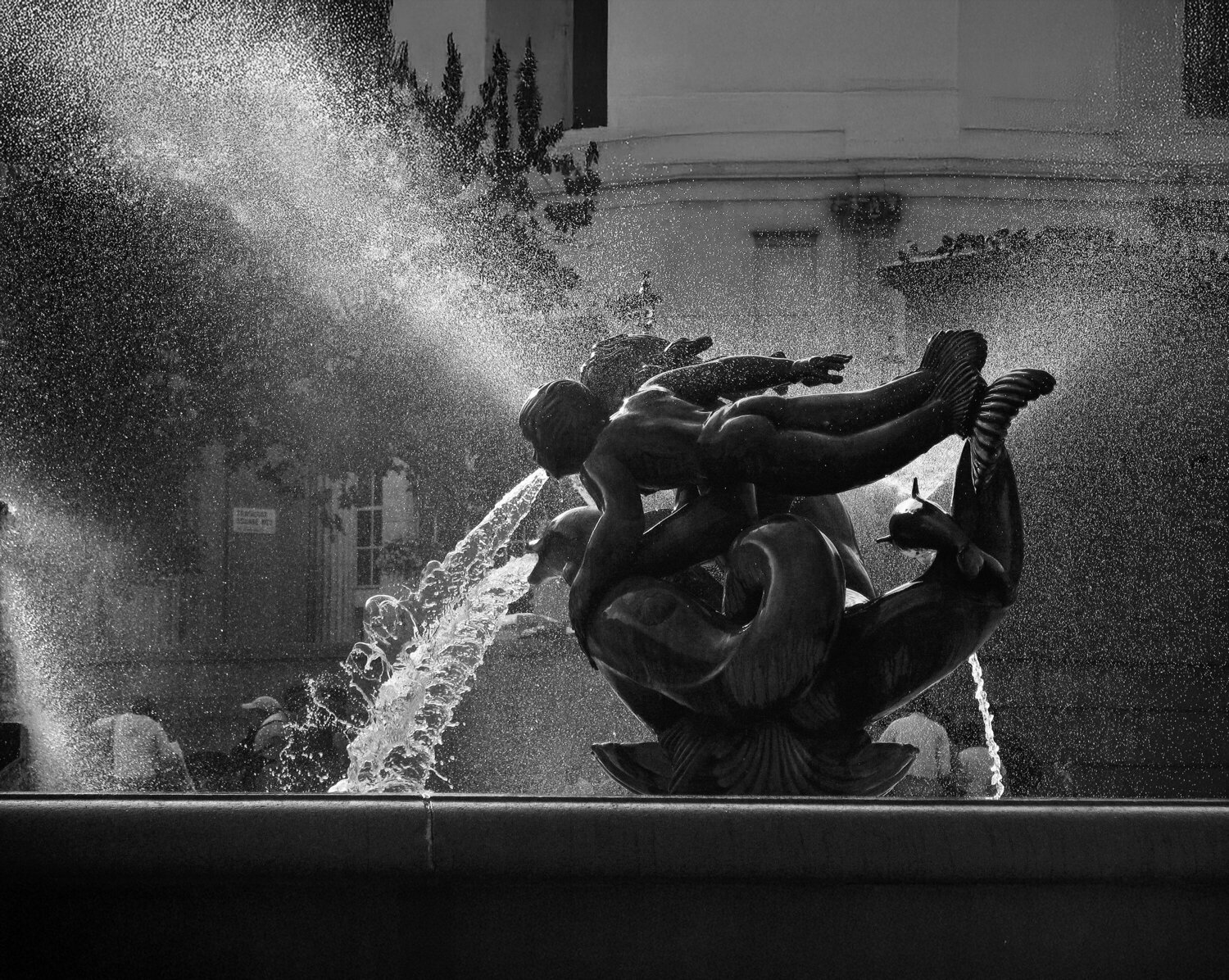 Choreography of Light Rana Dias