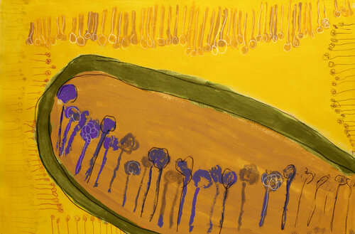 CAMPO GIALLO von Luciana Gallo, Druck kaufen auf Singulart