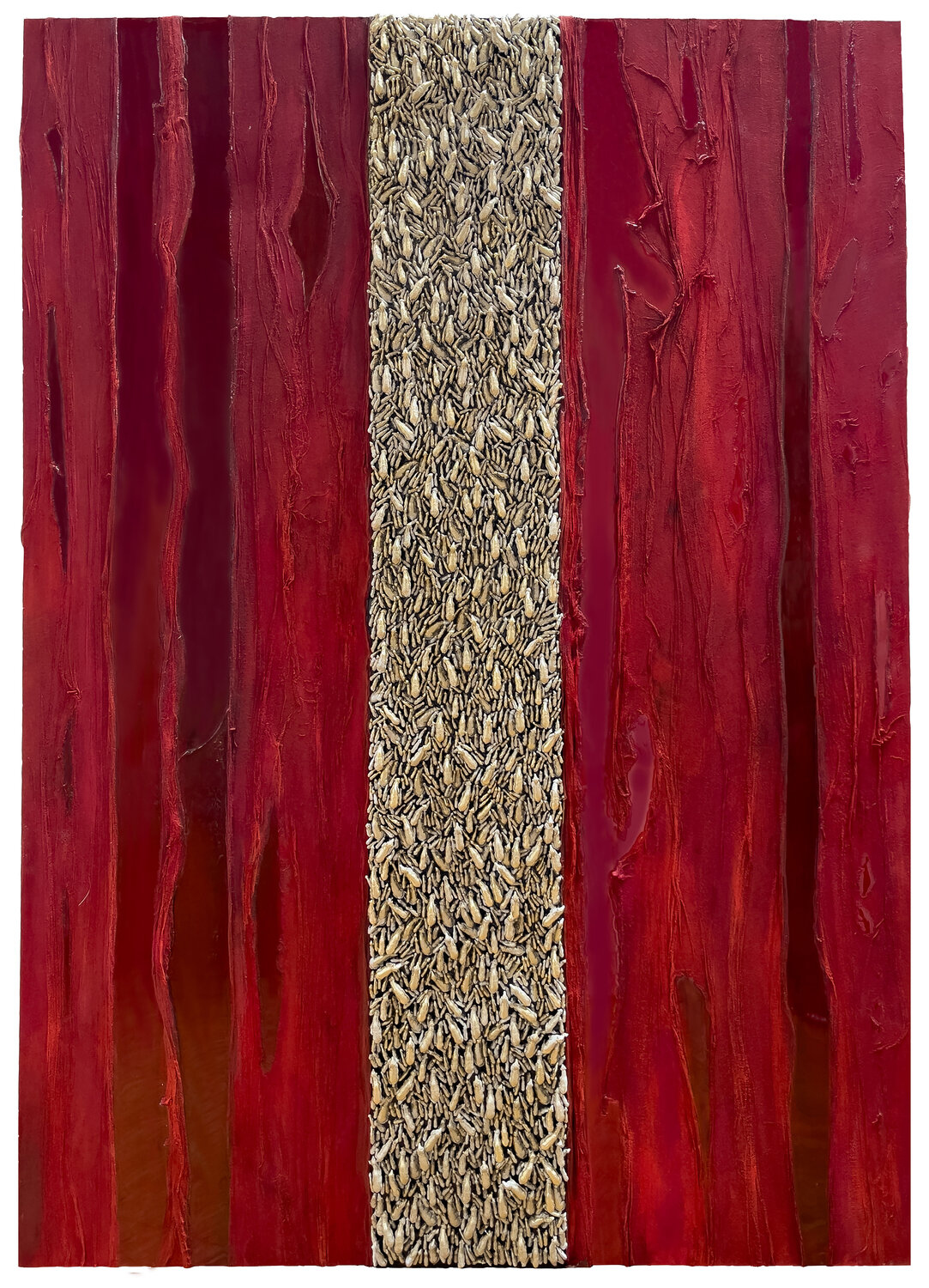 PERFECT RED Luciana Gallo