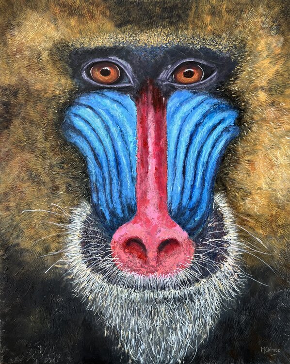 EL GRITO DEL COLOR Mariana Gomez Otero