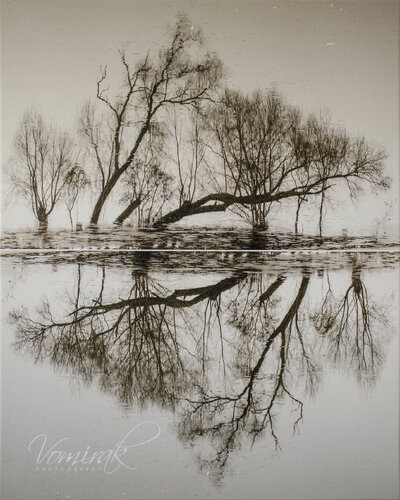 Phantasmagoria by Ievgen Karimov, 사진 for Sale on Singulart