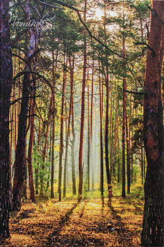 At dawn by Ievgen Karimov, 사진 for Sale on Singulart