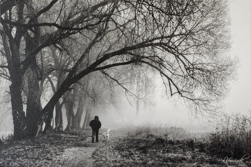 Morning walk by Ievgen Karimov, 사진 for Sale on Singulart