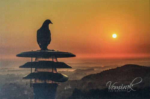 Meeting the dawn by Ievgen Karimov, 사진 for Sale on Singulart