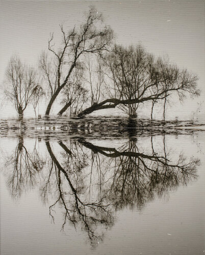 Phantasmagoria 4 in 1 by Ievgen Karimov, 사진 for Sale on Singulart