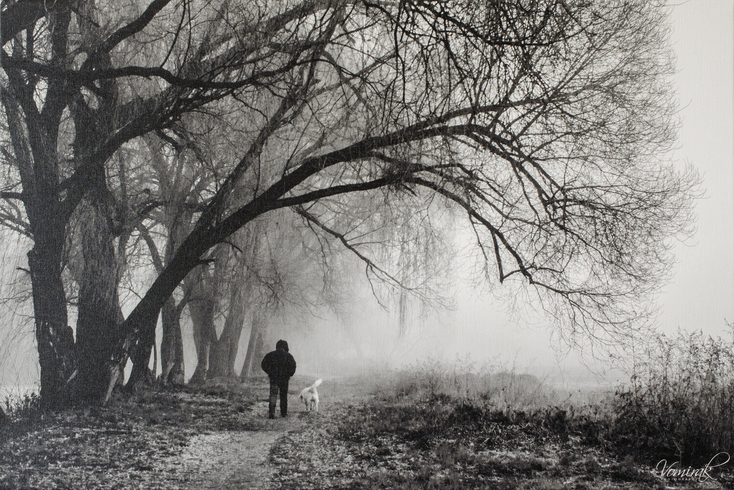 Morning walk Ievgen Karimov