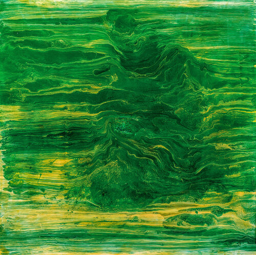 FOREST claire lassonnery