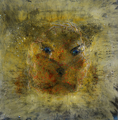 TIGRE claire lassonnery