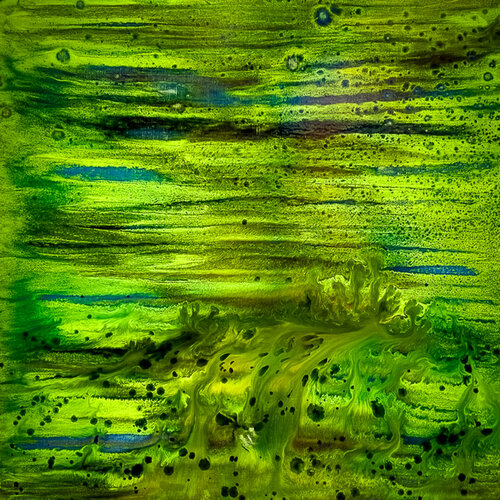 JUNGLE de claire lassonnery, Pintura a la venta en Singulart