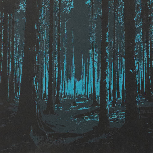 Waldleuchten von Manuela Kuntz, Druck kaufen auf Singulart