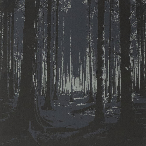 Waldleuchten III von Manuela Kuntz, Druck kaufen auf Singulart