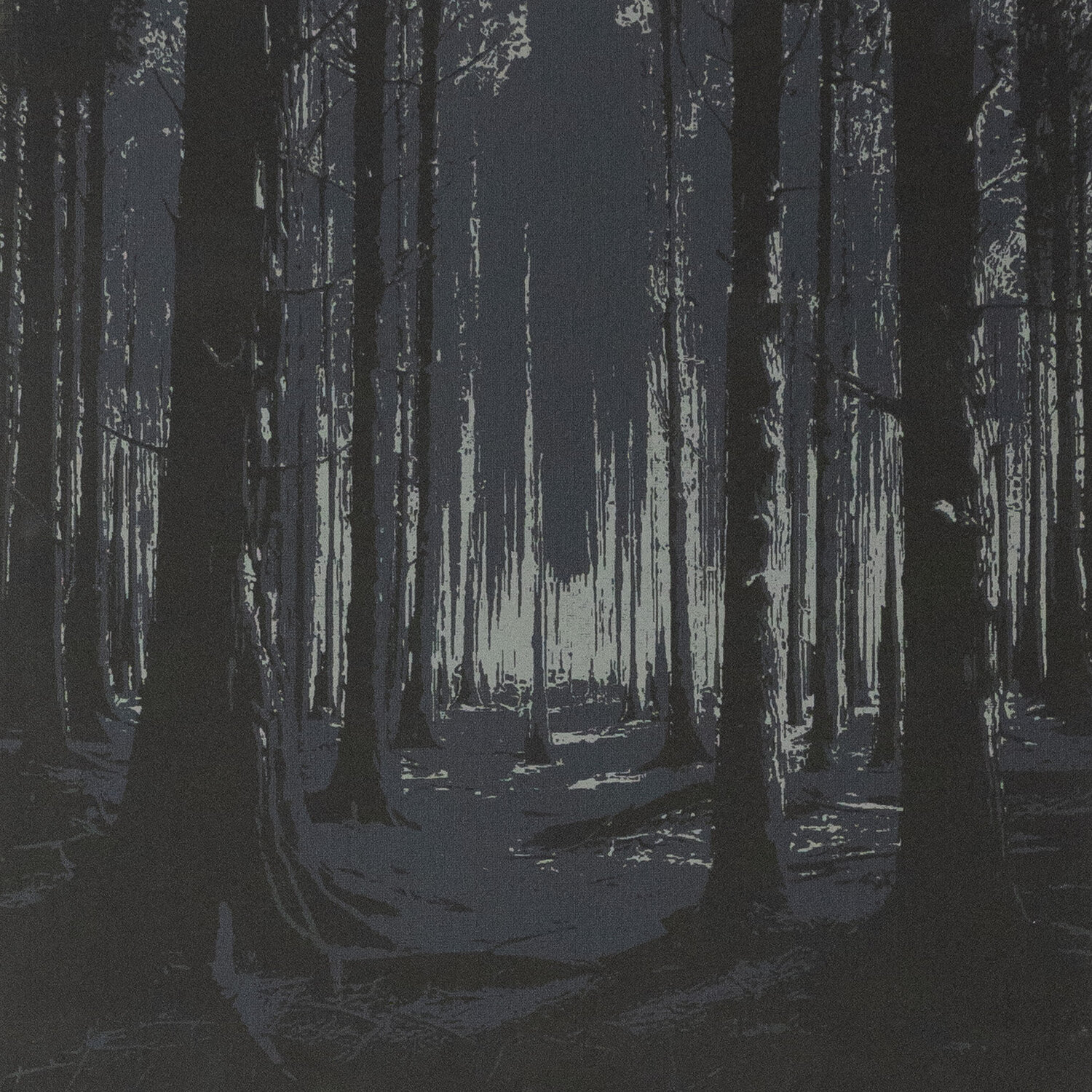 Waldleuchten III Manuela Kuntz