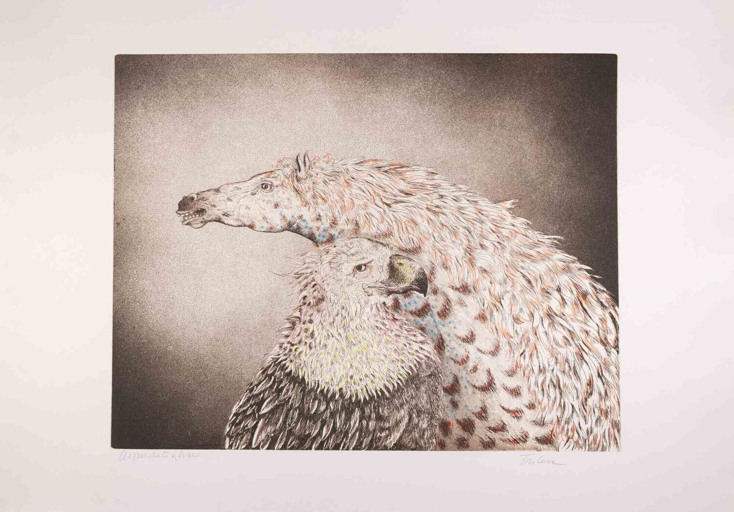 Eagle and Horse Benito Trolese Druck zu verkaufen