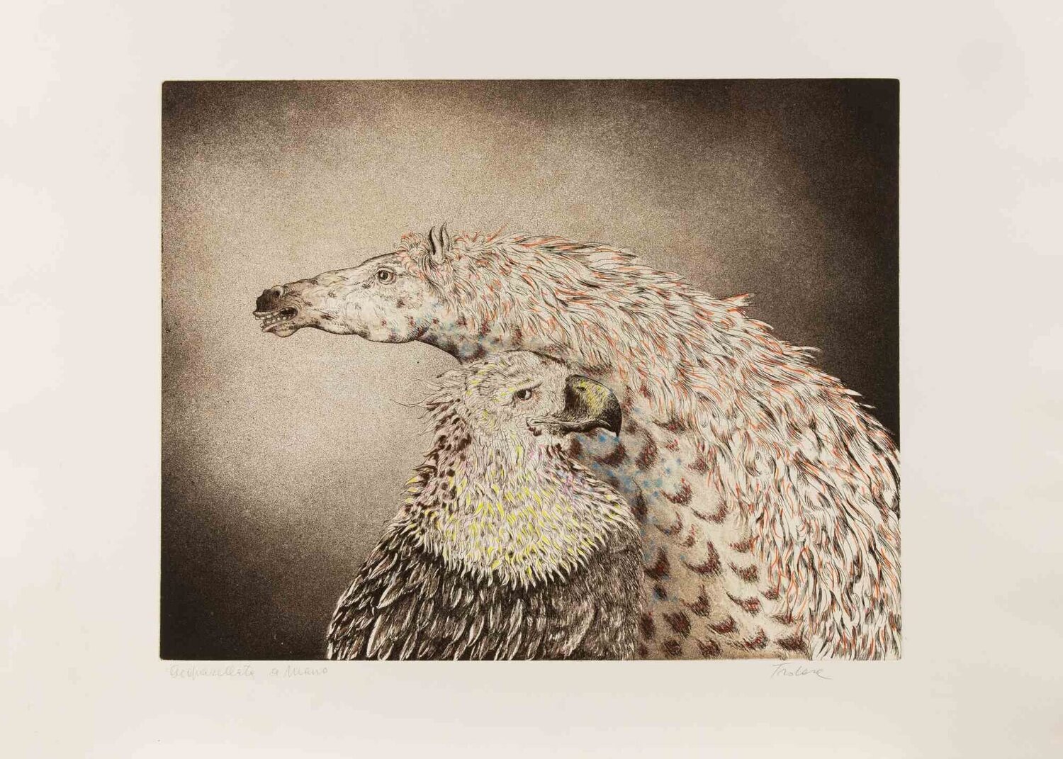 Eagle and Horse Benito Trolese Stampa in vendita