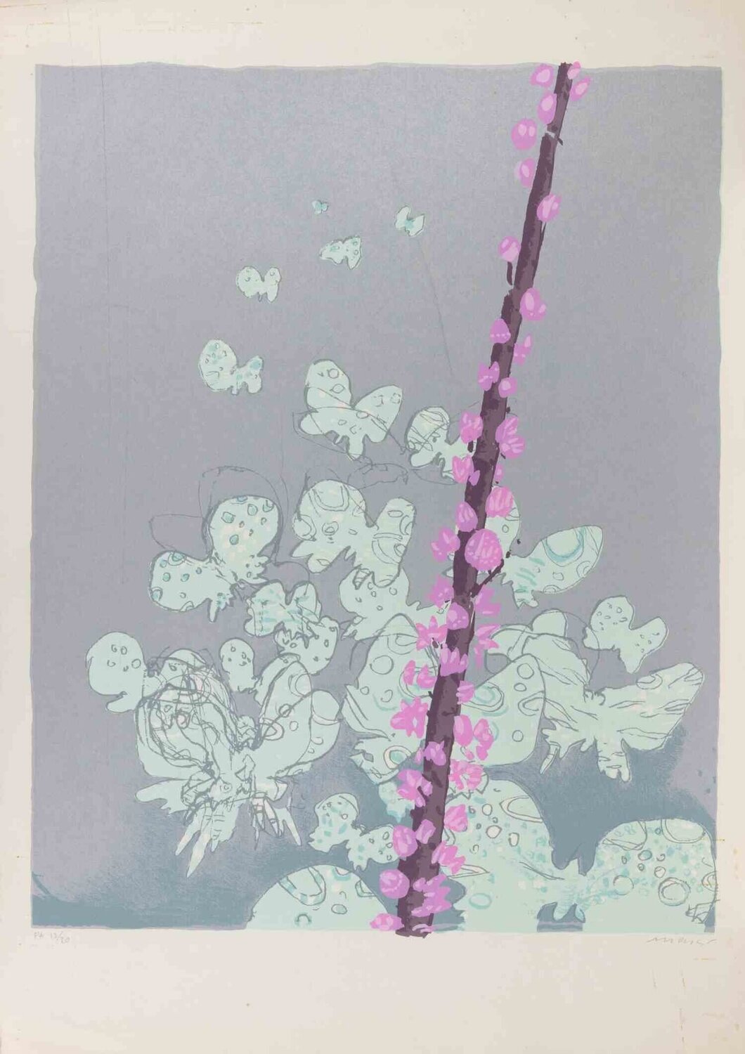 Butterflies Edolo Masci