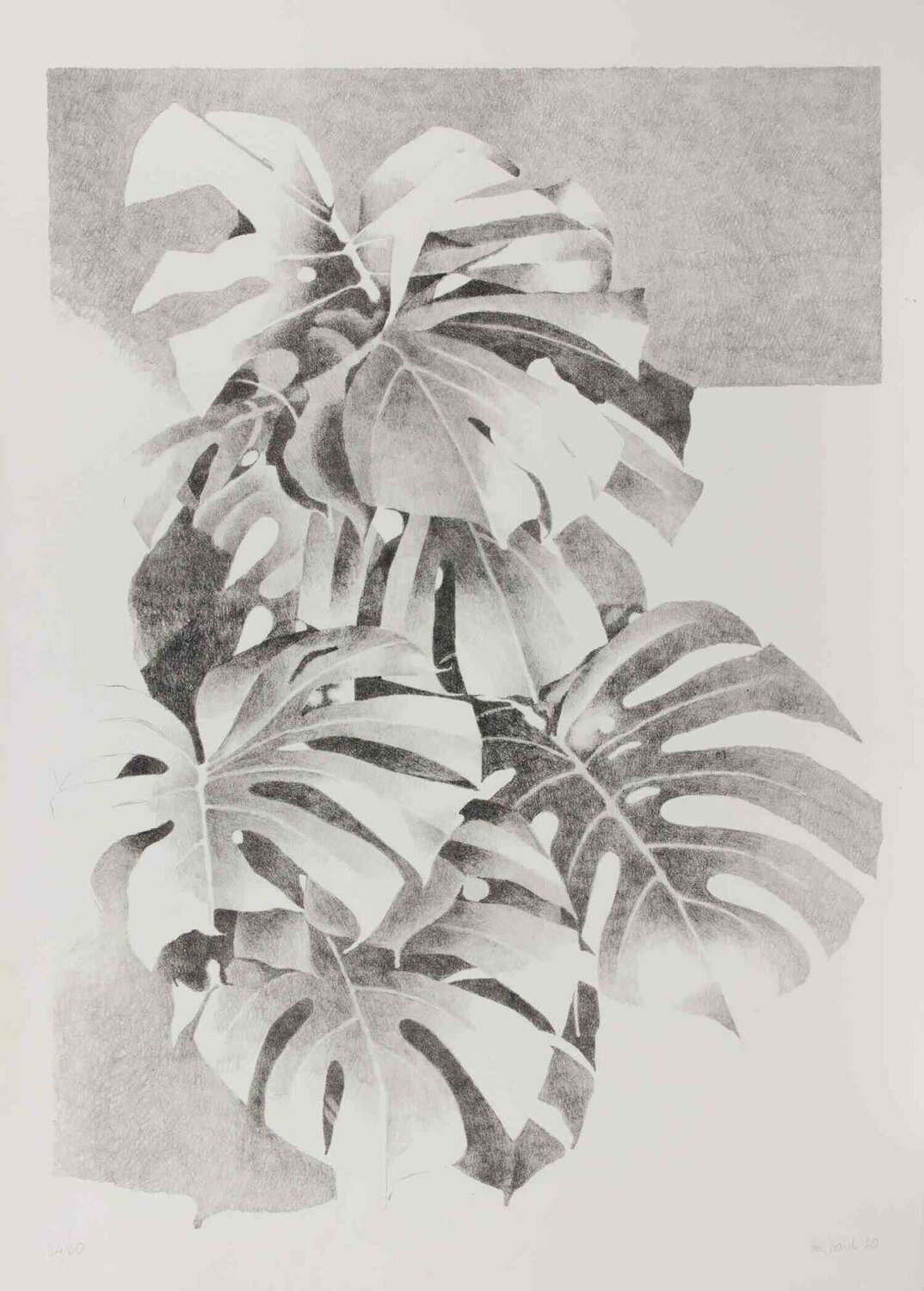 Plants Mario Bardi Stampa in vendita