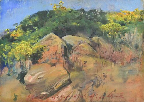 Brooms and Rocks on Giglio Island by Lea Monetti, 회화 for Sale on Singulart