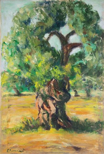 Olive Tree van Pino Romanò, Schilderij te koop op Singulart