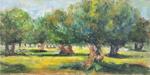  Olive Trees in Squinzano van Pino Romanò, Schilderij te koop op Singulart