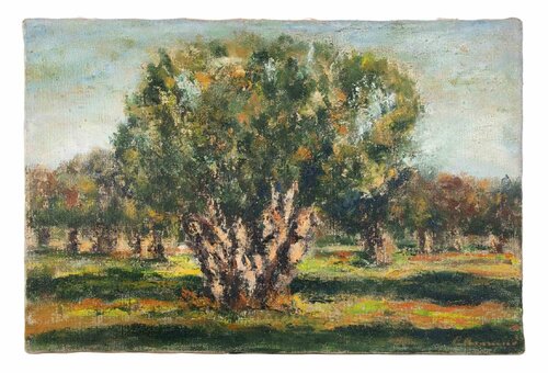  Olive Grove in Salento von Pino Romanò, Malerei kaufen auf Singulart