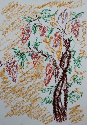 Glicine par Alfredo Pizzi, Œuvre sur papier en vente sur Singulart