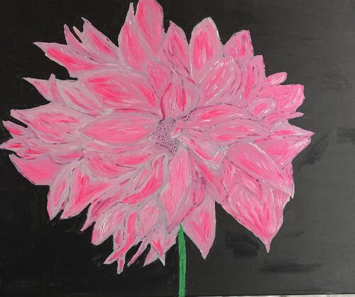 Pink Dahlia on black (Flower) de Ruth Breen, Pintura a la venta en Singulart