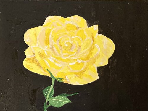Yellow Rose on Black van Ruth Breen, Schilderij te koop op Singulart