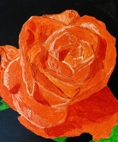 Orange Rose on Black von Ruth Breen, Malerei kaufen auf Singulart