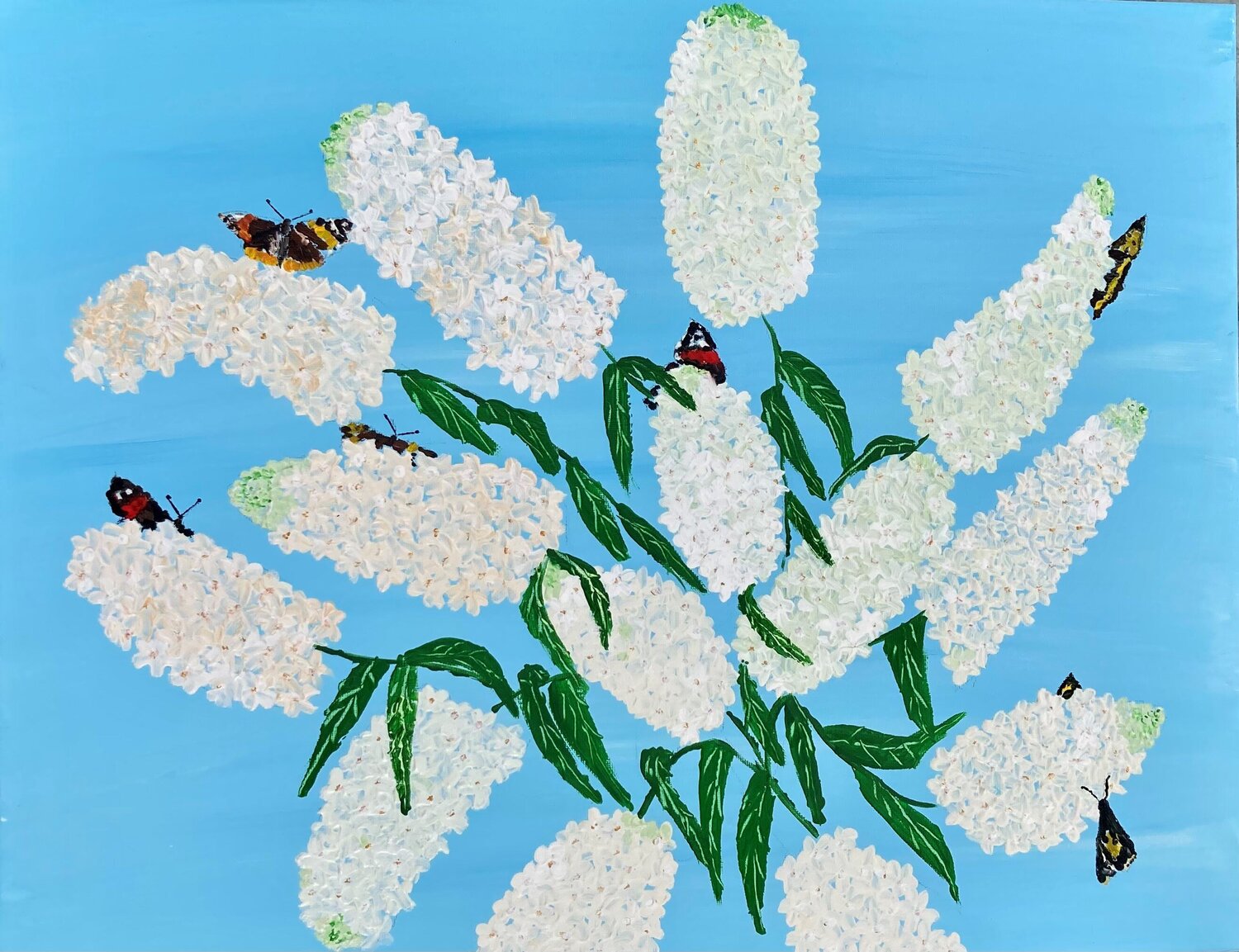 White Buddleia with butterflies (flowers) Ruth Breen
