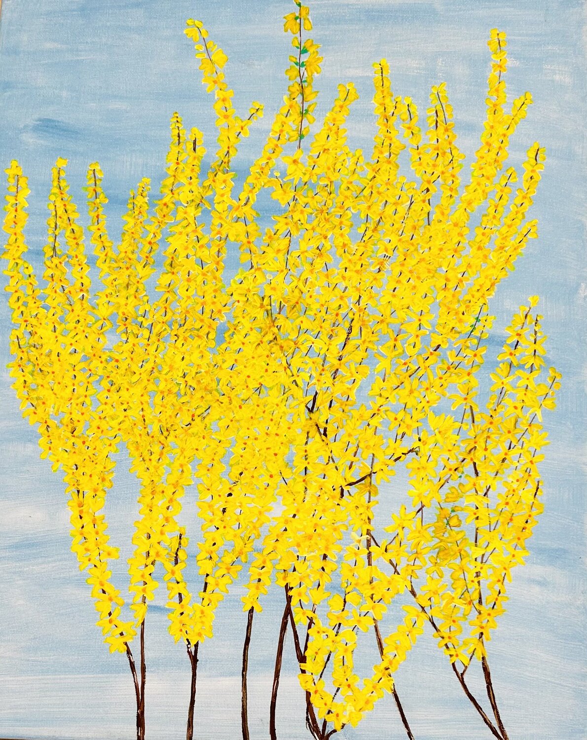 Forsythia on blue (flowers) Ruth Breen