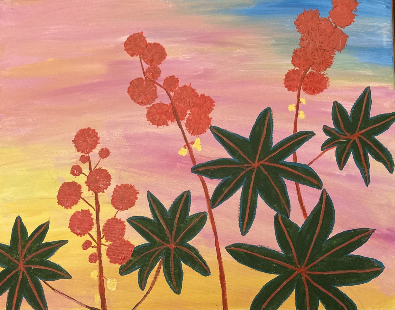 Flowering Castor Oil Plant Ruth Breen