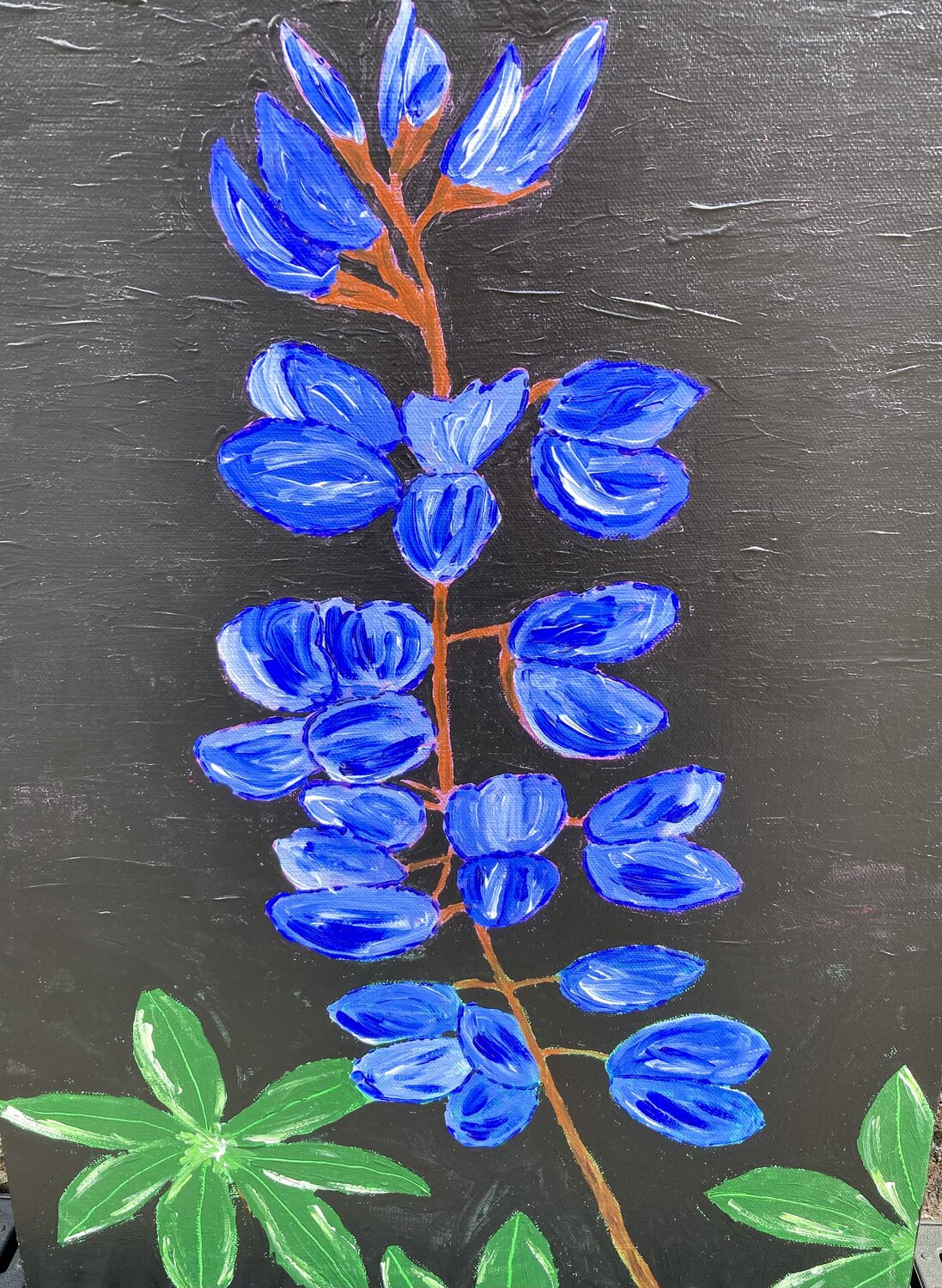 Lupines flowering Ruth Breen