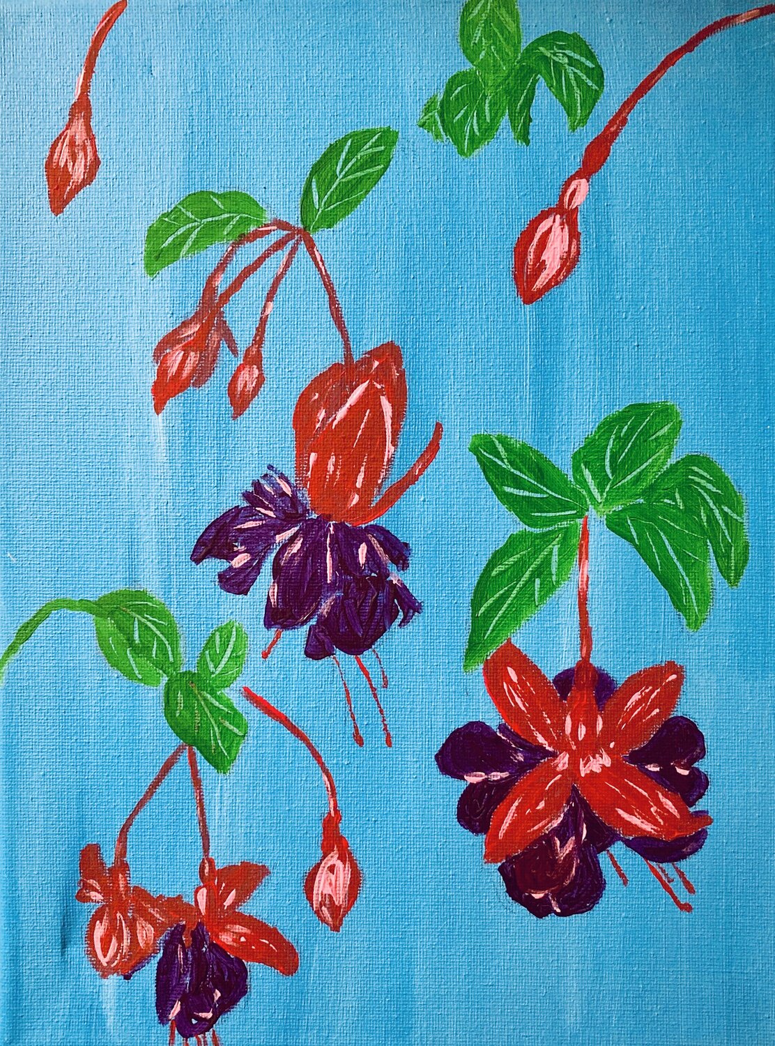 Fuchsias on Vivid Blue Ruth Breen