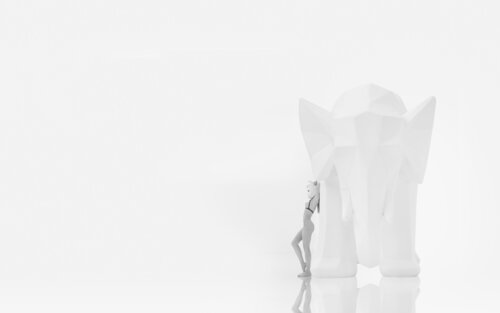 THE ELEPHANT RABBIT von francisco de luna, Fotografie kaufen auf Singulart