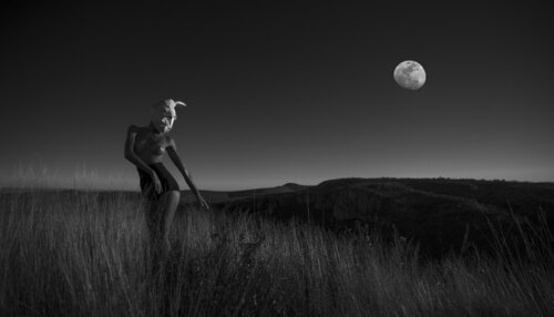 MOON RABBIT von francisco de luna, Fotografie kaufen auf Singulart