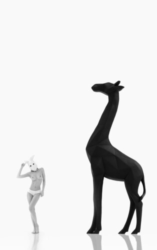 THE RABBIT AND THE JIRAFF von francisco de luna, Fotografie kaufen auf Singulart
