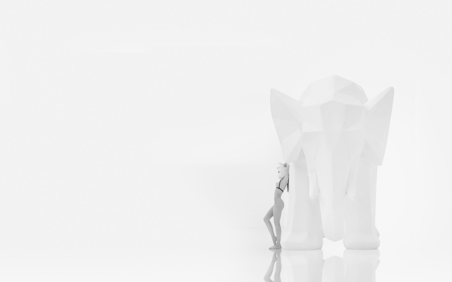 THE ELEPHANT RABBIT francisco de luna