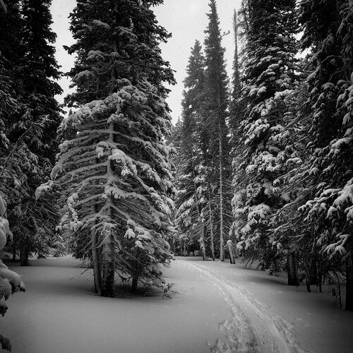 Cold Skin Track by Jono Fisher, Photography for Sale on Singulart