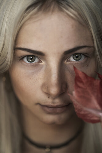Fragile di Daniel Kellenberger, Fotografia in vendita su Singulart
