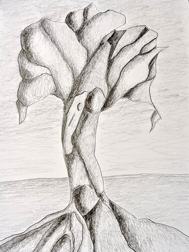 Metamorphosis von Massimo Castronuovo, Zeichnungen kaufen auf Singulart