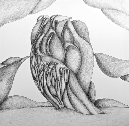 Chrysalis von Massimo Castronuovo, Zeichnungen kaufen auf Singulart