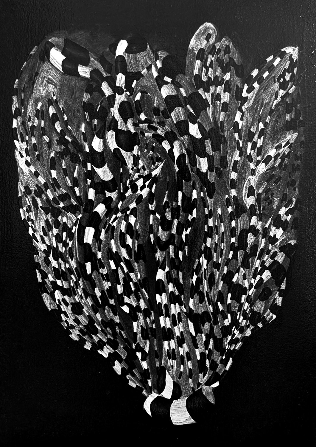 Oregano Massimo Castronuovo
