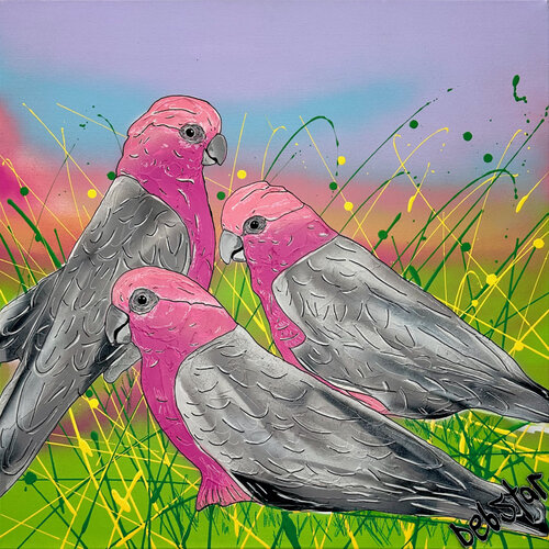 Galah Sunset 61cm x 61cm de DEBORAH LANG, Pintura a la venta en Singulart