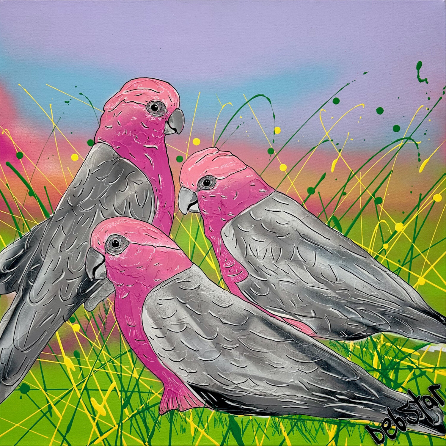 Galah Sunset 61cm x 61cm DEBORAH LANG