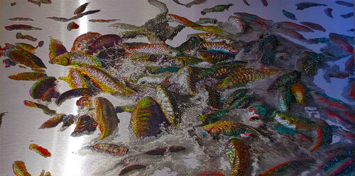Food (Fishes) par Stefania Pinsone, Peinture en vente sur Singulart